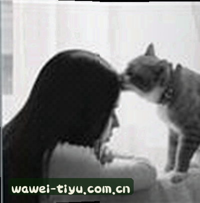 孙伟