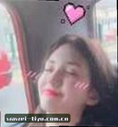 赵刚